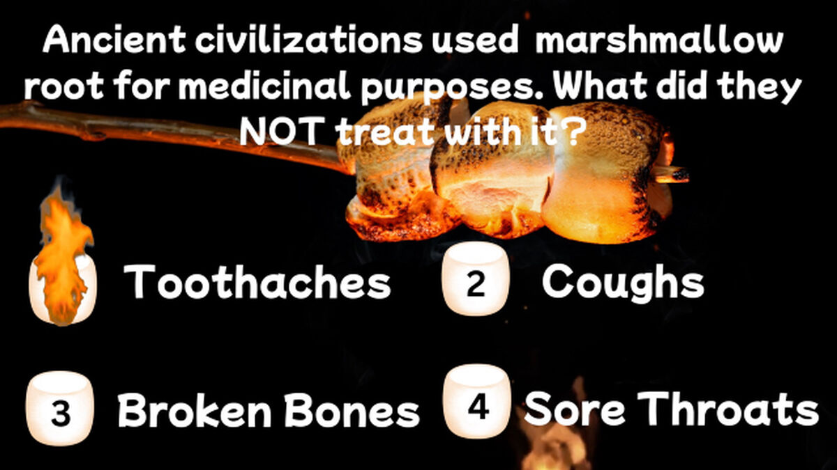 Marshmallow Madness image number 5